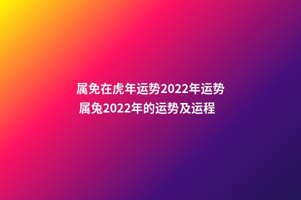 属免在虎年运势2022年运势 属兔2022年的运势及运程-第1张-观点-玄机派